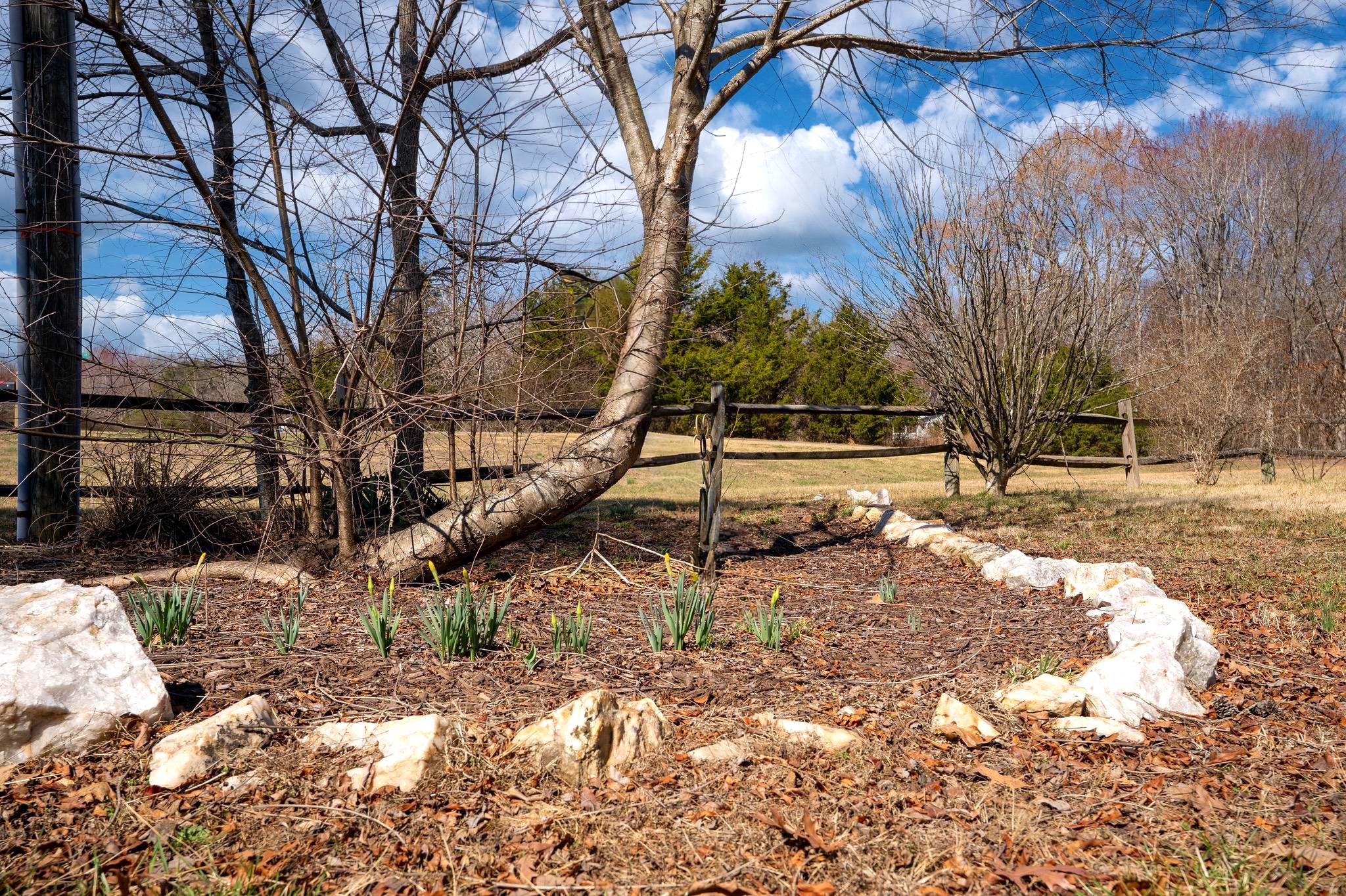5527 SMITH STATION RD, FREDERICKSBURG, Virginia 22407, 2 Bedrooms Bedrooms, ,2 BathroomsBathrooms,Residential,5527 SMITH STATION RD,VASP2039944 MLS # VASP2039944