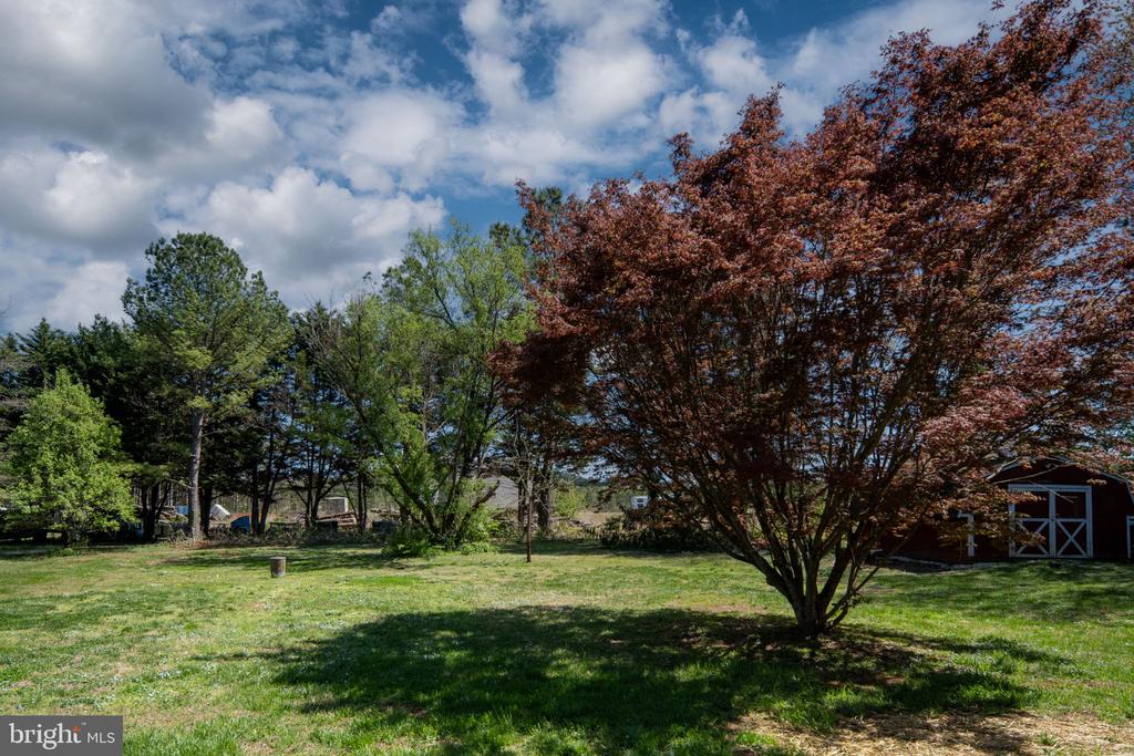18493 COLONIAL DR, CULPEPER, Virginia 22701, 3 Bedrooms Bedrooms, ,3 BathroomsBathrooms,Residential,CARLTON HILLS,18493 COLONIAL DR,VACU2013916 MLS # VACU2013916