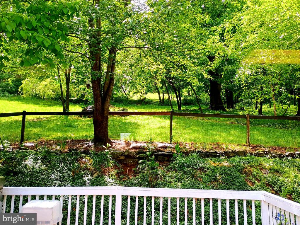 147 BLUE RIDGE AVE, CHESTER GAP, Virginia 22623, 4 Bedrooms Bedrooms, ,3 BathroomsBathrooms,Residential,147 BLUE RIDGE AVE,VARP2002674 MLS # VARP2002674