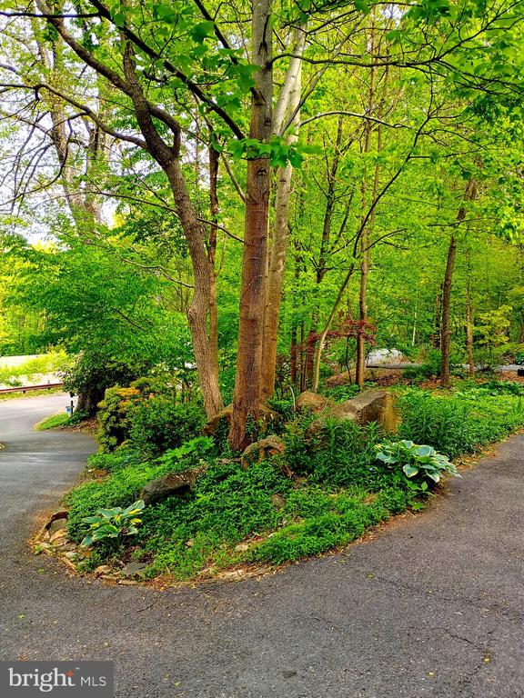 147 BLUE RIDGE AVE, CHESTER GAP, Virginia 22623, 4 Bedrooms Bedrooms, ,3 BathroomsBathrooms,Residential,147 BLUE RIDGE AVE,VARP2002674 MLS # VARP2002674