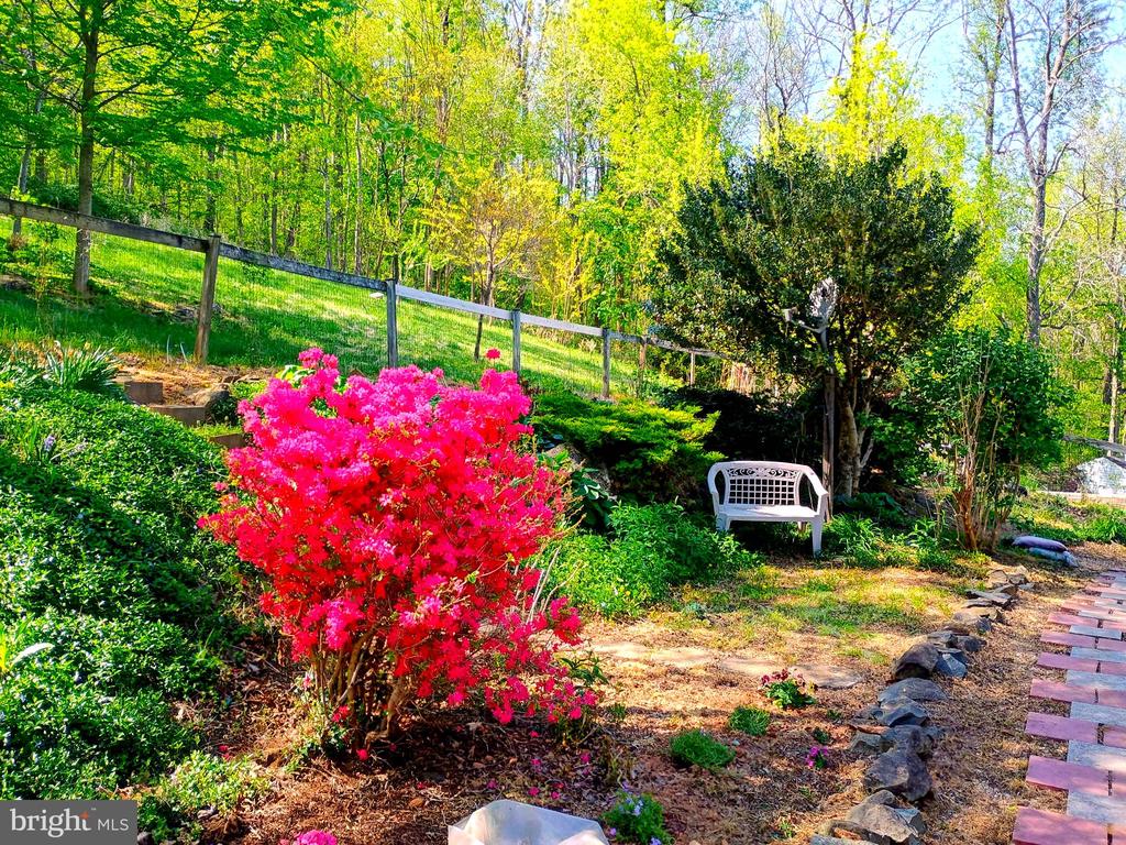 147 BLUE RIDGE AVE, CHESTER GAP, Virginia 22623, 4 Bedrooms Bedrooms, ,3 BathroomsBathrooms,Residential,147 BLUE RIDGE AVE,VARP2002674 MLS # VARP2002674