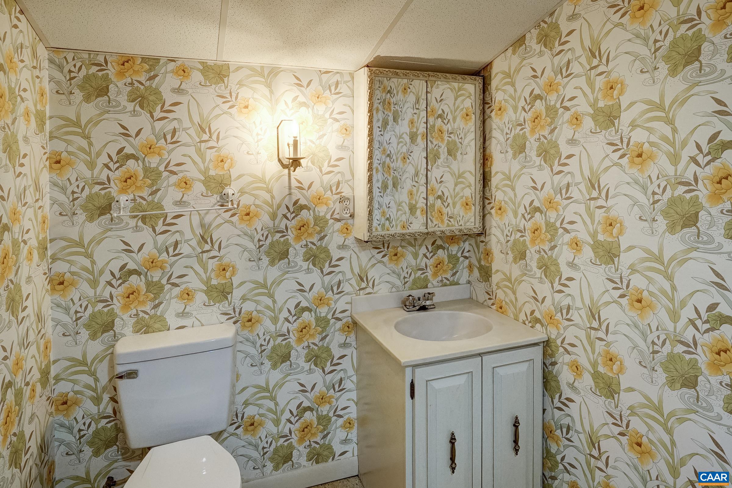 Basement powder room