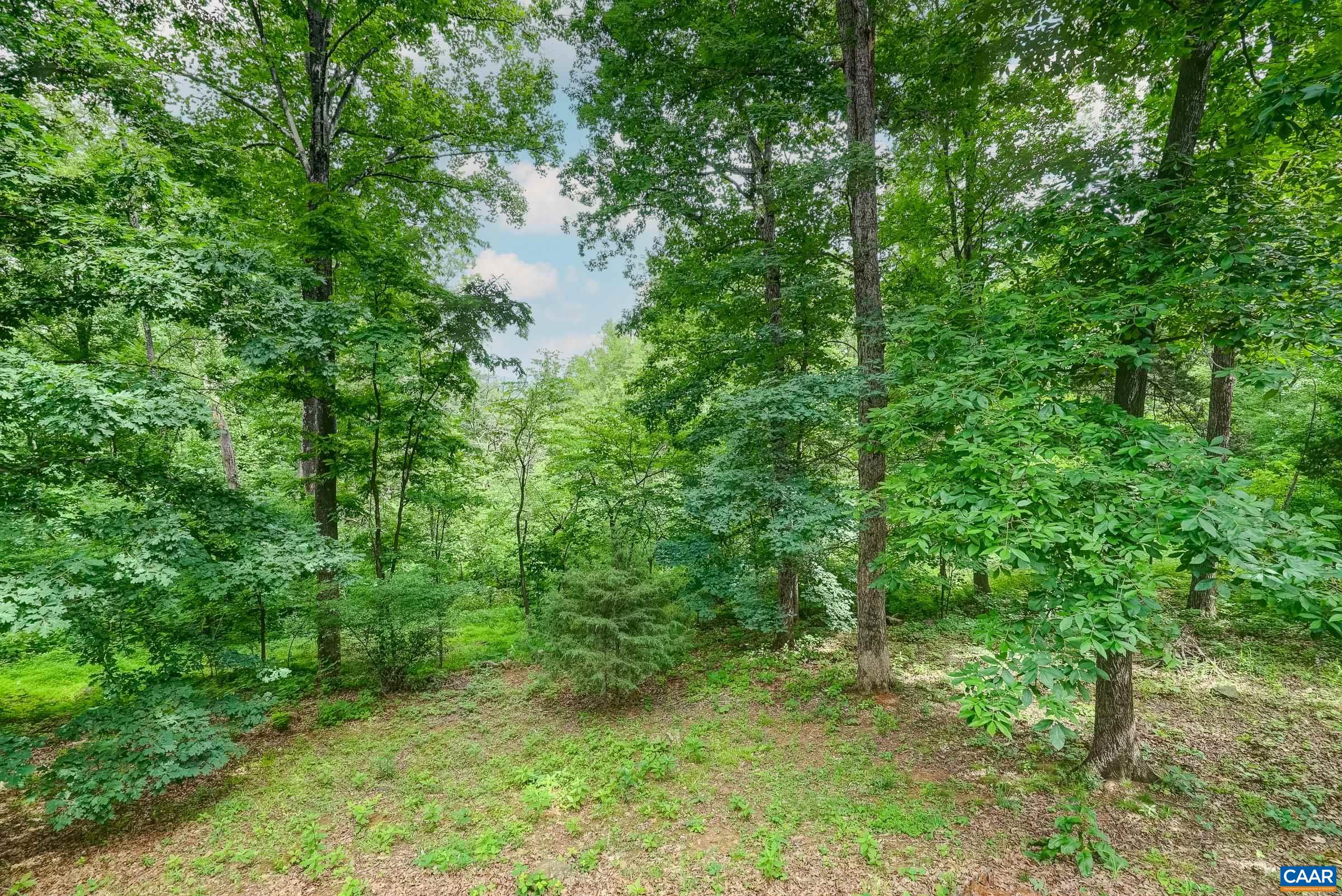 136 HOODED WARBLER LN, NELLYSFORD, Virginia 22958, 3 Bedrooms Bedrooms, ,2 BathroomsBathrooms,Residential,136 HOODED WARBLER LN,677956 MLS # 677956