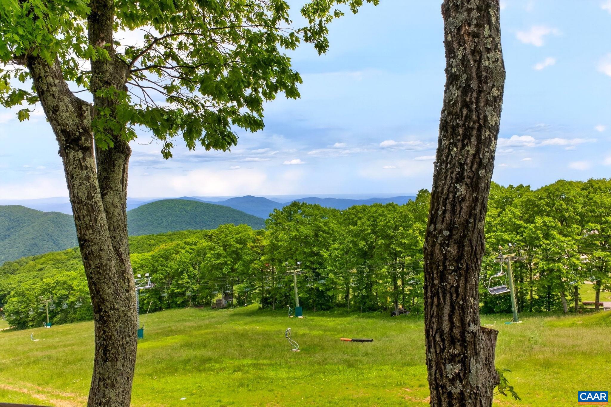347 DOBIE CONDOS, WINTERGREEN RESORT, Virginia 22967, 2 Bedrooms Bedrooms, ,2 BathroomsBathrooms,Residential,347 DOBIE CONDOS,677996 MLS # 677996