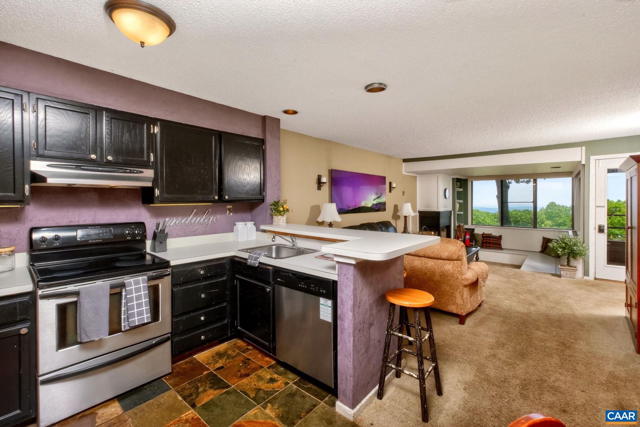 347 DOBIE CONDOS, WINTERGREEN RESORT, Virginia 22967, 2 Bedrooms Bedrooms, ,2 BathroomsBathrooms,Residential,347 DOBIE CONDOS,677996 MLS # 677996