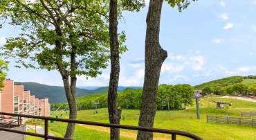 347 DOBIE CONDOS, WINTERGREEN RESORT, Virginia 22967, 2 Bedrooms Bedrooms, ,2 BathroomsBathrooms,Residential,347 DOBIE CONDOS,677996 MLS # 677996