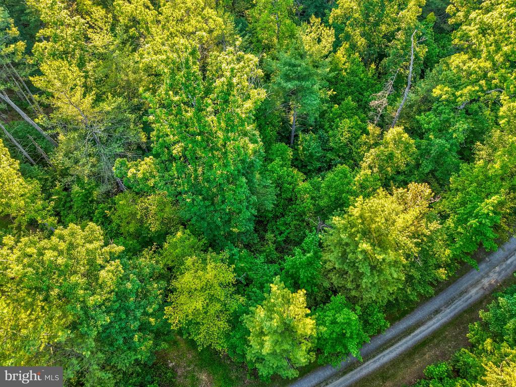 KOVI RIDGE TRL, REVA, Virginia 22735, ,Land,KOVI RIDGE TRL,VACU2013882 MLS # VACU2013882