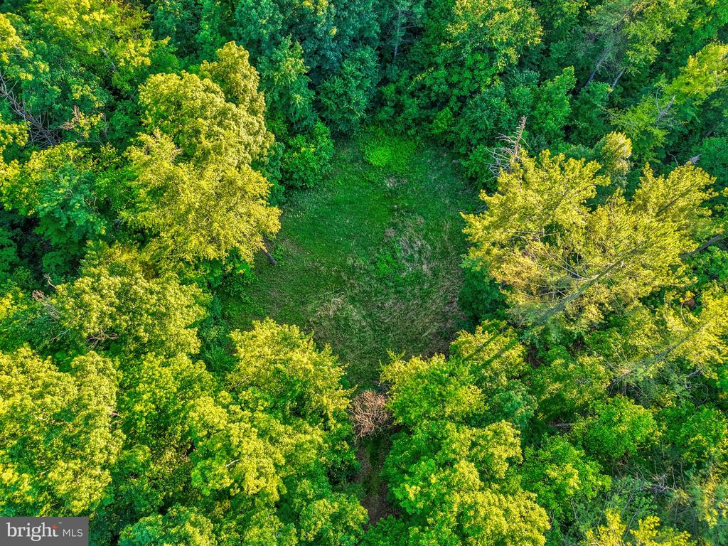 KOVI RIDGE TRL, REVA, Virginia 22735, ,Land,KOVI RIDGE TRL,VACU2013882 MLS # VACU2013882