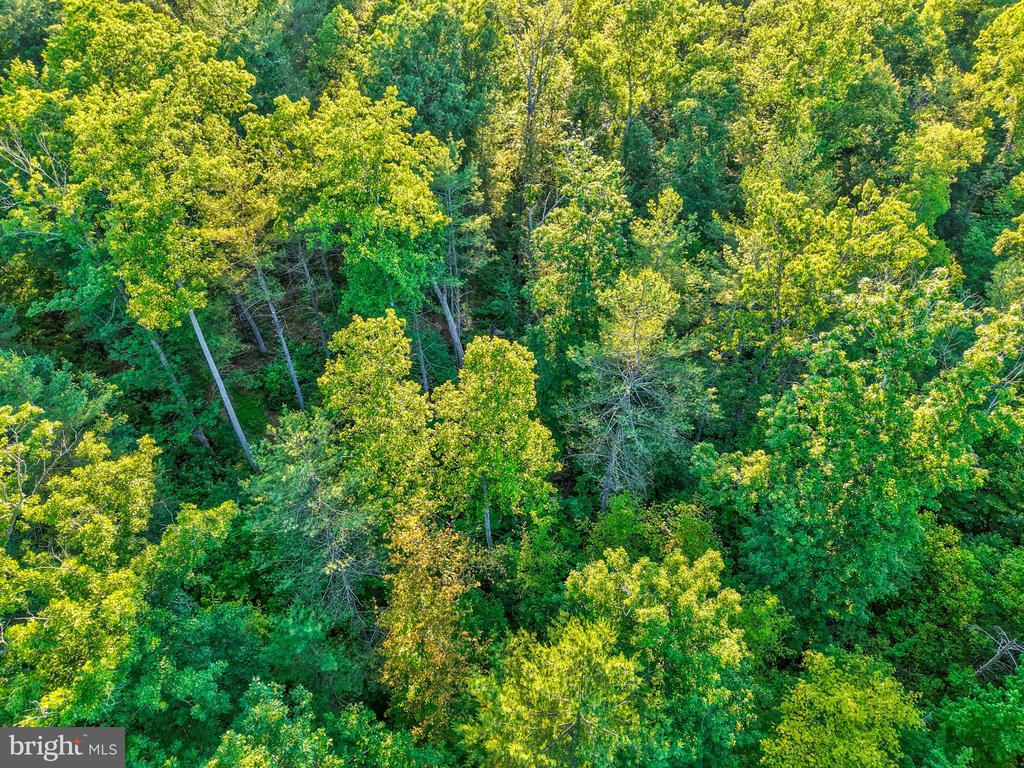 KOVI RIDGE TRL, REVA, Virginia 22735, ,Land,KOVI RIDGE TRL,VACU2013882 MLS # VACU2013882