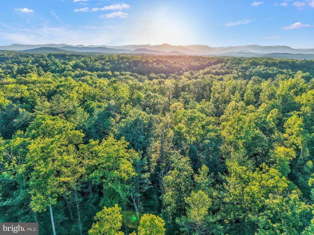KOVI RIDGE TRL, REVA, Virginia 22735, ,Land,KOVI RIDGE TRL,VACU2013882 MLS # VACU2013882