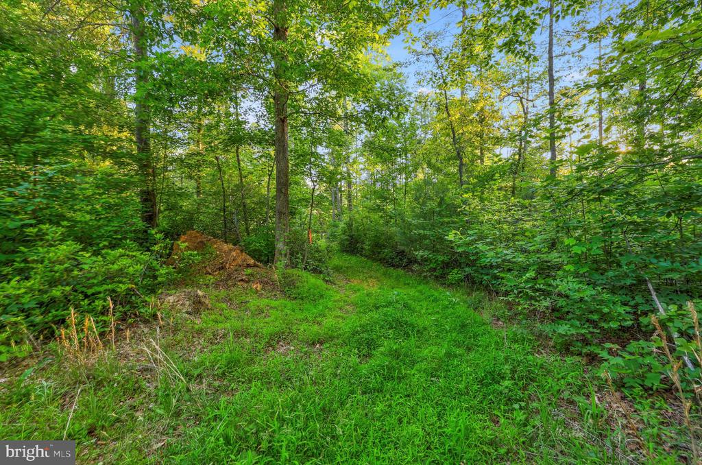 KOVI RIDGE TRL, REVA, Virginia 22735, ,Land,KOVI RIDGE TRL,VACU2013882 MLS # VACU2013882