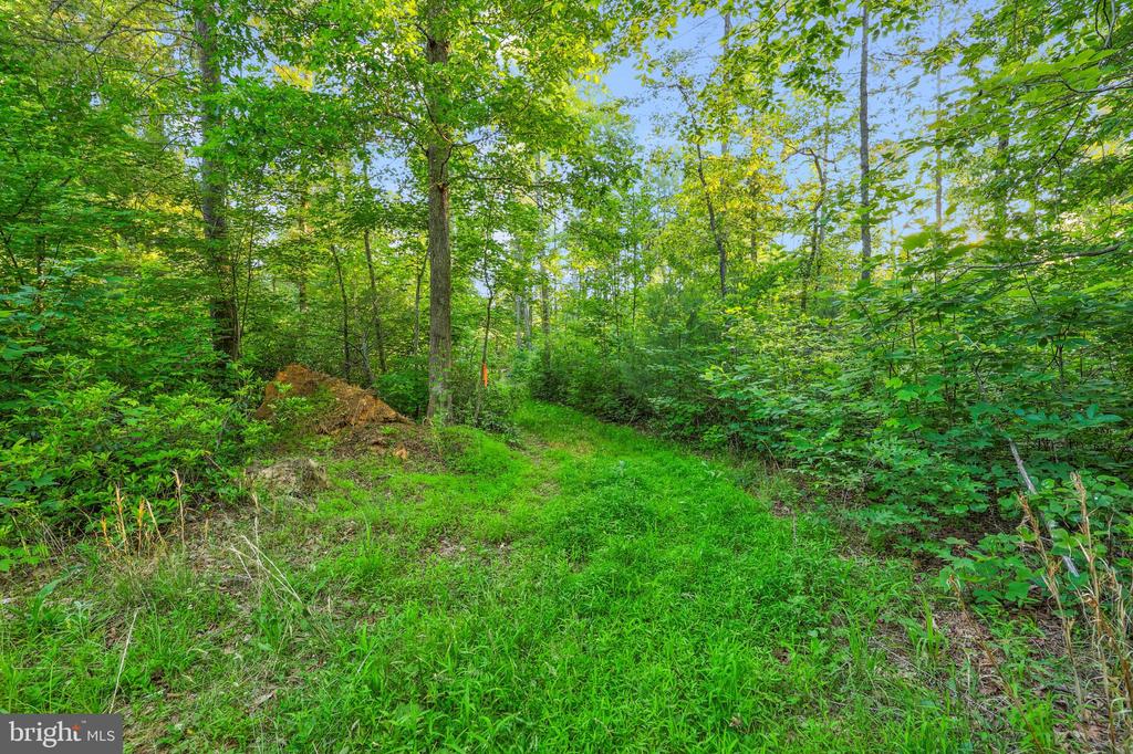 KOVI RIDGE TRL, REVA, Virginia 22735, ,Land,KOVI RIDGE TRL,VACU2013882 MLS # VACU2013882