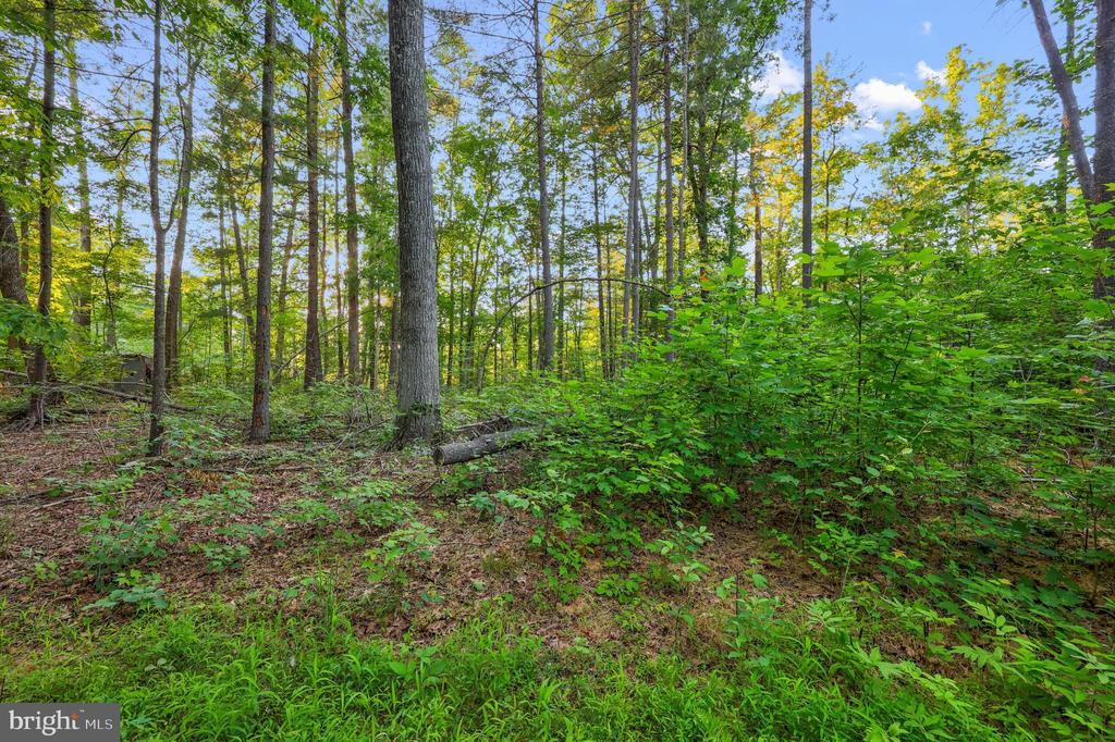 KOVI RIDGE TRL, REVA, Virginia 22735, ,Land,KOVI RIDGE TRL,VACU2013882 MLS # VACU2013882