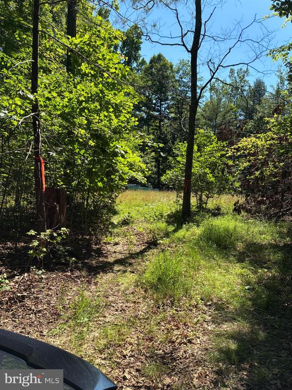 KOVI RIDGE TRL, REVA, Virginia 22735, ,Land,KOVI RIDGE TRL,VACU2013882 MLS # VACU2013882