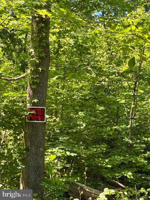 KOVI RIDGE TRL, REVA, Virginia 22735, ,Land,KOVI RIDGE TRL,VACU2013882 MLS # VACU2013882
