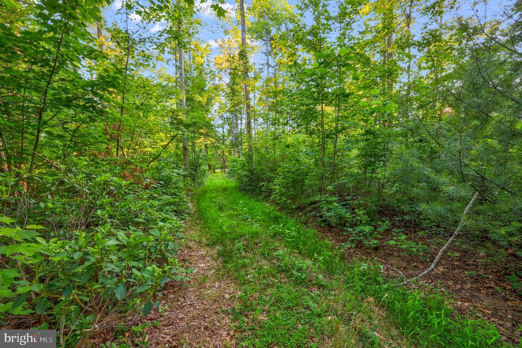 KOVI RIDGE TRL, REVA, Virginia 22735, ,Land,KOVI RIDGE TRL,VACU2013882 MLS # VACU2013882