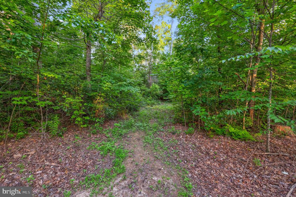 KOVI RIDGE TRL, REVA, Virginia 22735, ,Land,KOVI RIDGE TRL,VACU2013882 MLS # VACU2013882