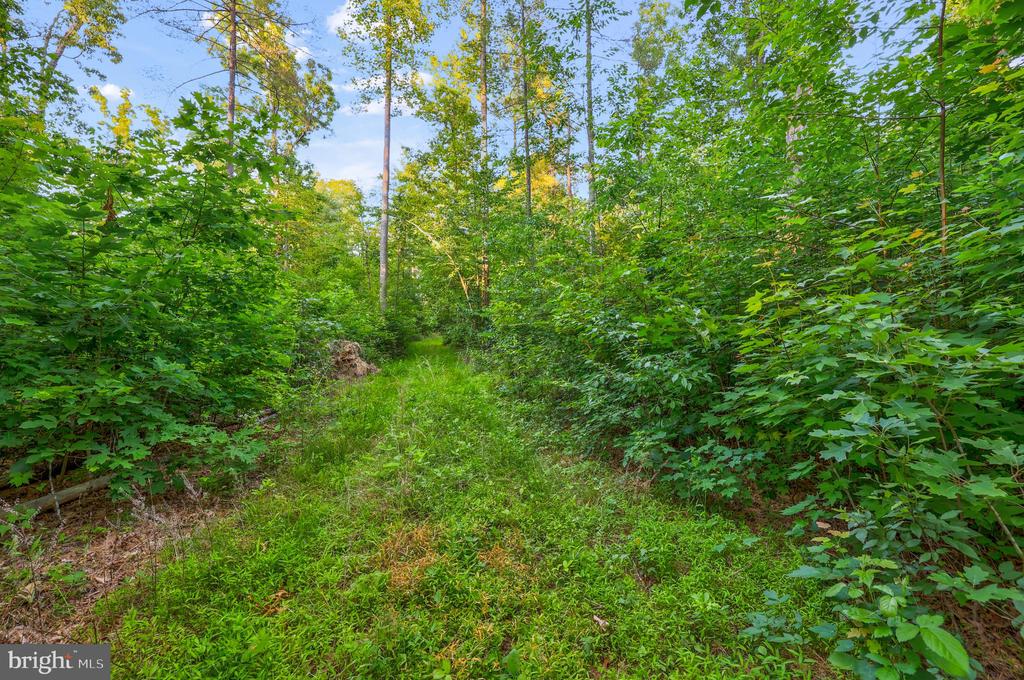 KOVI RIDGE TRL, REVA, Virginia 22735, ,Land,KOVI RIDGE TRL,VACU2013882 MLS # VACU2013882
