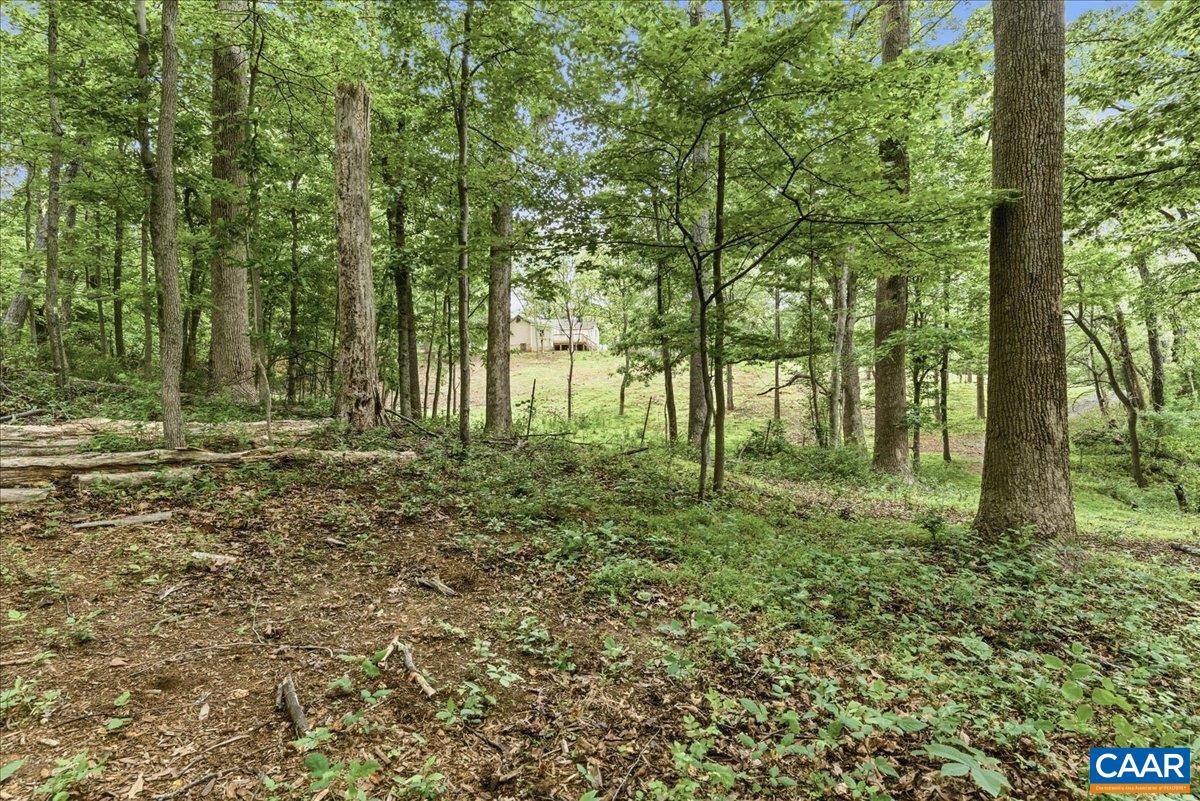 615 HALF MILE BRANCH RD, CROZET, Virginia 22932, ,Land,Hillsboro Area,615 HALF MILE BRANCH RD,677943 MLS # 677943