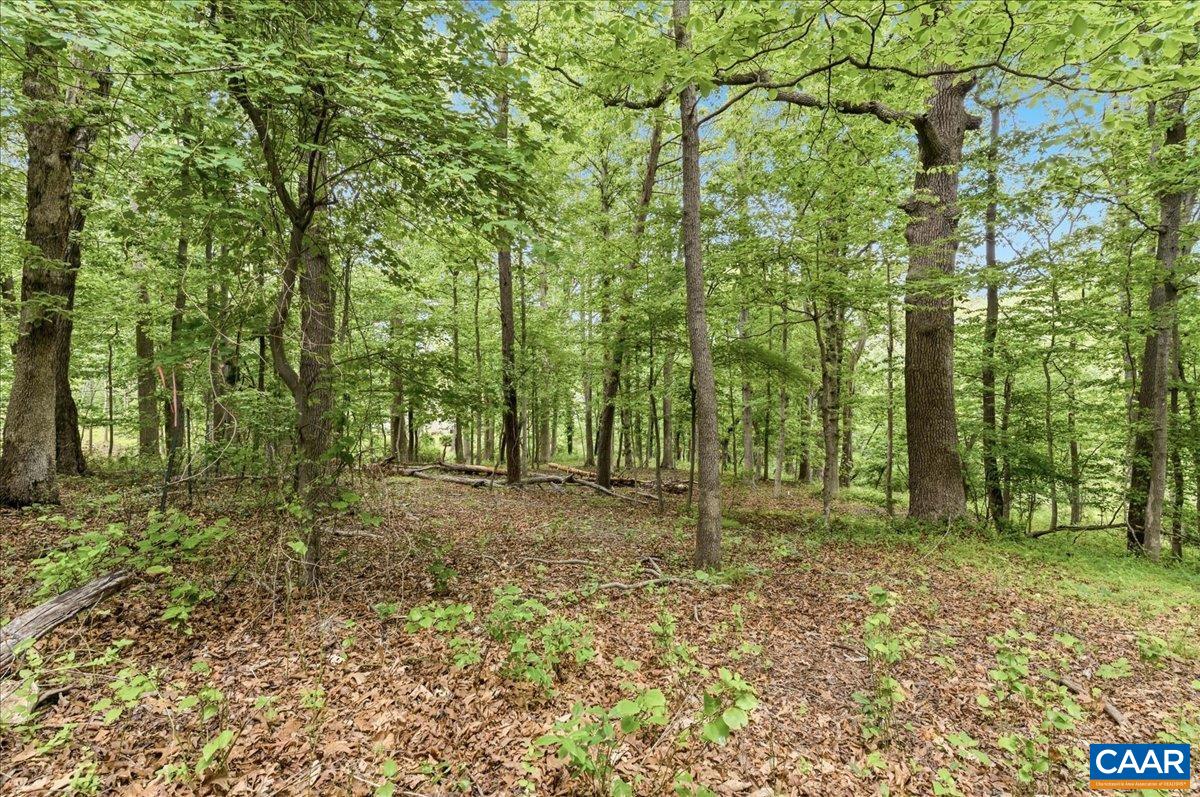 615 HALF MILE BRANCH RD, CROZET, Virginia 22932, ,Land,Hillsboro Area,615 HALF MILE BRANCH RD,677943 MLS # 677943