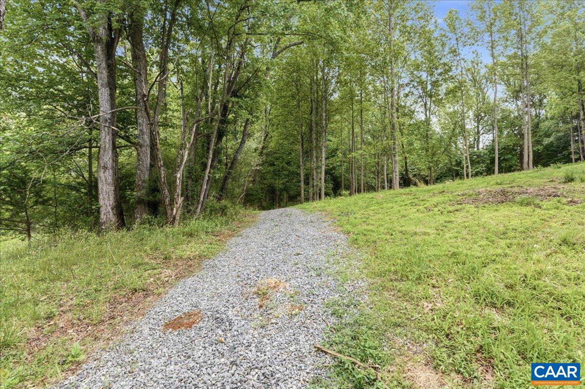 615 HALF MILE BRANCH RD, CROZET, Virginia 22932, ,Land,Hillsboro Area,615 HALF MILE BRANCH RD,677943 MLS # 677943