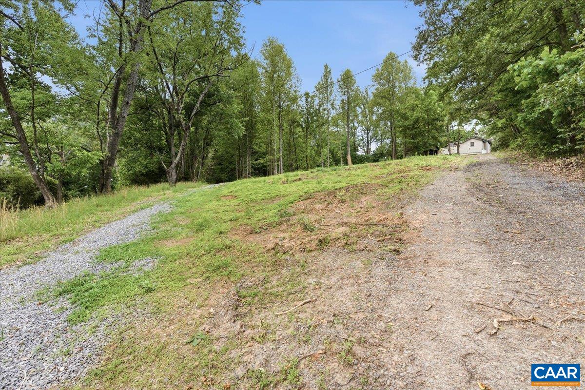 615 HALF MILE BRANCH RD, CROZET, Virginia 22932, ,Land,Hillsboro Area,615 HALF MILE BRANCH RD,677943 MLS # 677943