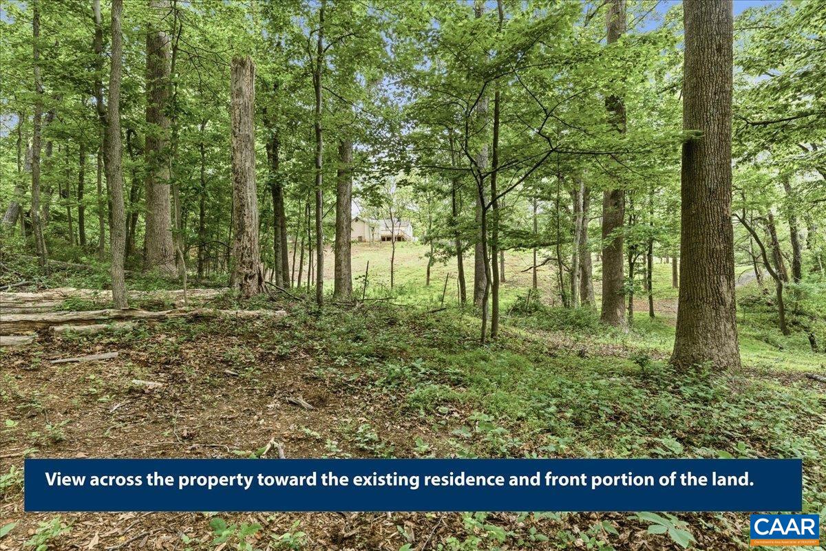 615 HALF MILE BRANCH RD, CROZET, Virginia 22932, ,Land,Hillsboro Area,615 HALF MILE BRANCH RD,677943 MLS # 677943