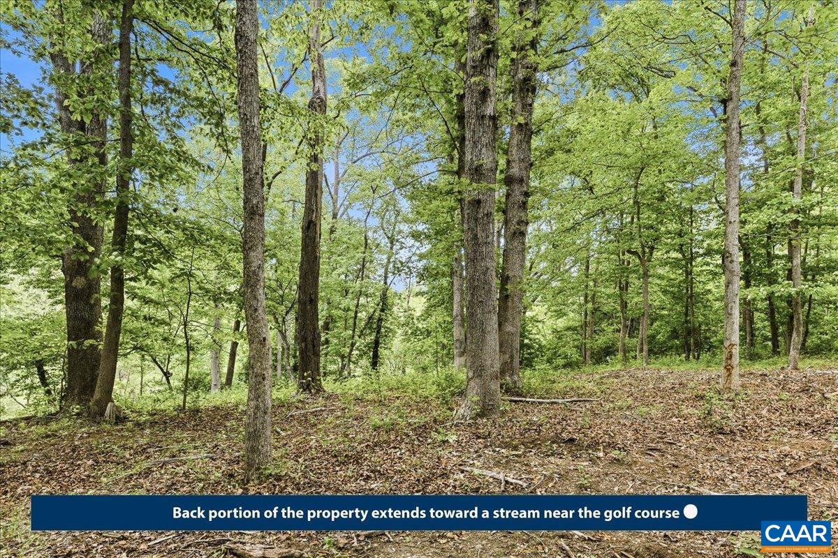 615 HALF MILE BRANCH RD, CROZET, Virginia 22932, ,Land,Hillsboro Area,615 HALF MILE BRANCH RD,677943 MLS # 677943