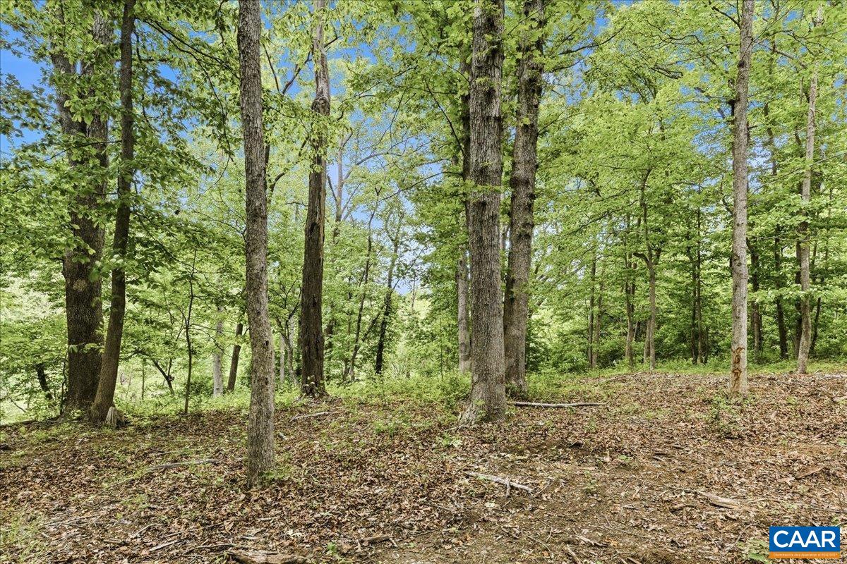 615 HALF MILE BRANCH RD, CROZET, Virginia 22932, ,Land,Hillsboro Area,615 HALF MILE BRANCH RD,677943 MLS # 677943
