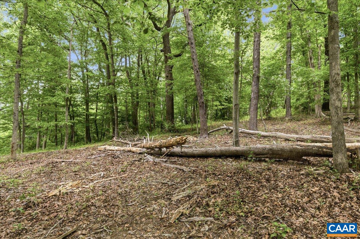 615 HALF MILE BRANCH RD, CROZET, Virginia 22932, ,Land,Hillsboro Area,615 HALF MILE BRANCH RD,677943 MLS # 677943