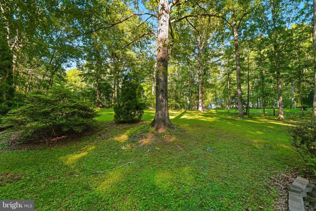 12203 WILDERNESS PARK DR, SPOTSYLVANIA, Virginia 22551, 3 Bedrooms Bedrooms, ,2 BathroomsBathrooms,Residential,12203 WILDERNESS PARK DR,VASP2041834 MLS # VASP2041834