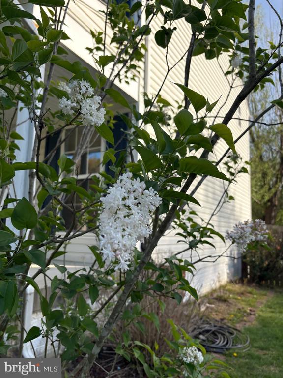 126 VALLEY VIEW RD, FREDERICKSBURG, Virginia 22407, 4 Bedrooms Bedrooms, ,2 BathroomsBathrooms,Residential,BREEZEWOOD,126 VALLEY VIEW RD,VASP2042454 MLS # VASP2042454