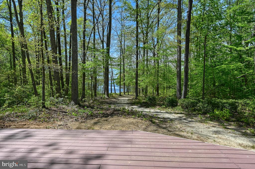 12029 SYCAMORE SHOALS DR, BUMPASS, Virginia 23024, 6 Bedrooms Bedrooms, ,5 BathroomsBathrooms,Residential,12029 SYCAMORE SHOALS DR,VASP2042596 MLS # VASP2042596