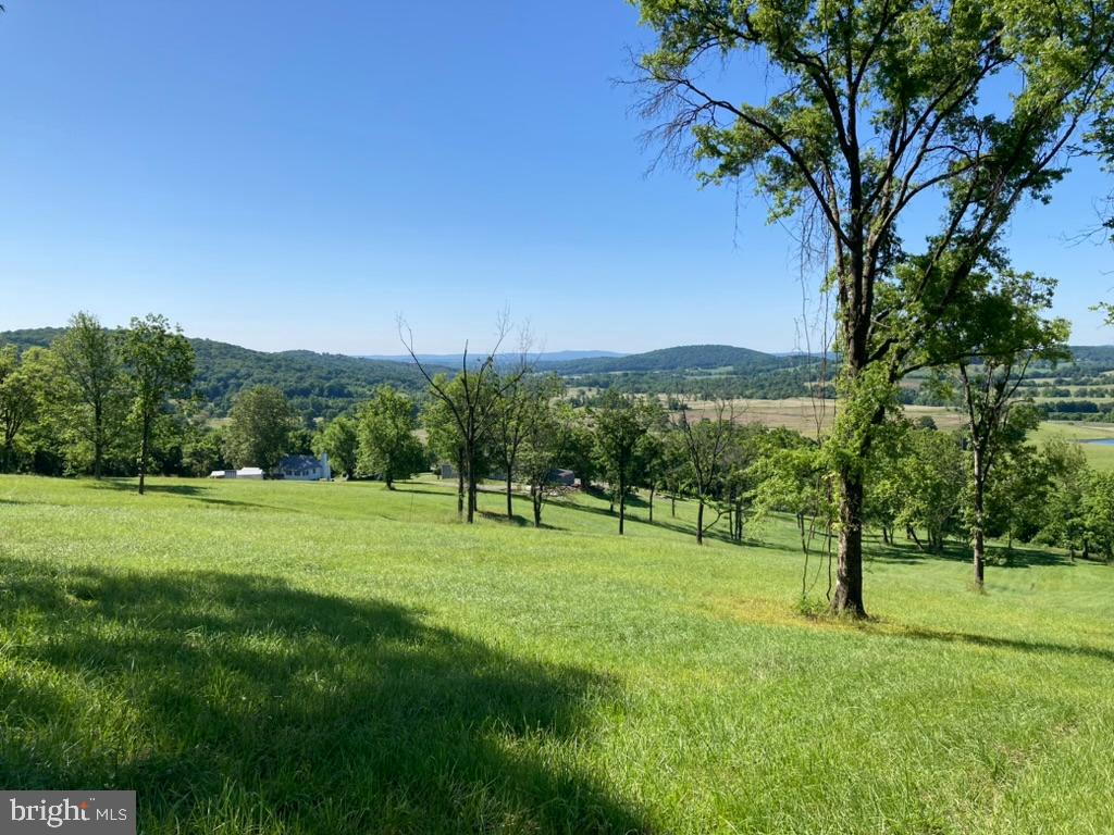 10436 JOHN S MOSBY HWY, PARIS, Virginia 20130, 3 Bedrooms Bedrooms, ,2 BathroomsBathrooms,Residential,10436 JOHN S MOSBY HWY,VAFQ2022300 MLS # VAFQ2022300 10436 JOHN S MOSBY HWY, PARIS, Virginia 20130, 3 Bedrooms Bedrooms, ,2 BathroomsBathrooms,Residential,10436 JOHN S MOSBY HWY,VAFQ2022300 MLS # VAFQ2022300