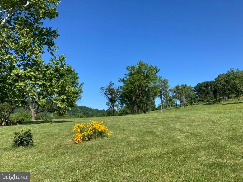 10436 JOHN S MOSBY HWY, PARIS, Virginia 20130, 3 Bedrooms Bedrooms, ,2 BathroomsBathrooms,Residential,10436 JOHN S MOSBY HWY,VAFQ2022300 MLS # VAFQ2022300 10436 JOHN S MOSBY HWY, PARIS, Virginia 20130, 3 Bedrooms Bedrooms, ,2 BathroomsBathrooms,Residential,10436 JOHN S MOSBY HWY,VAFQ2022300 MLS # VAFQ2022300