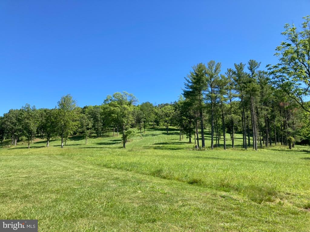 10436 JOHN S MOSBY HWY, PARIS, Virginia 20130, 3 Bedrooms Bedrooms, ,2 BathroomsBathrooms,Residential,10436 JOHN S MOSBY HWY,VAFQ2022300 MLS # VAFQ2022300 10436 JOHN S MOSBY HWY, PARIS, Virginia 20130, 3 Bedrooms Bedrooms, ,2 BathroomsBathrooms,Residential,10436 JOHN S MOSBY HWY,VAFQ2022300 MLS # VAFQ2022300