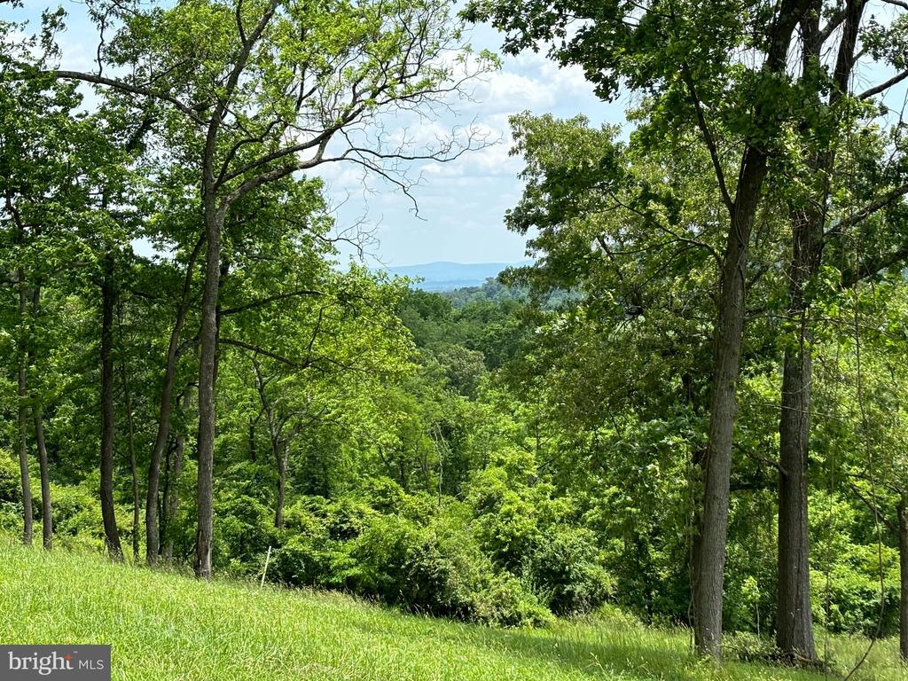 10436 JOHN S MOSBY HWY, PARIS, Virginia 20130, 3 Bedrooms Bedrooms, ,2 BathroomsBathrooms,Residential,10436 JOHN S MOSBY HWY,VAFQ2022300 MLS # VAFQ2022300 10436 JOHN S MOSBY HWY, PARIS, Virginia 20130, 3 Bedrooms Bedrooms, ,2 BathroomsBathrooms,Residential,10436 JOHN S MOSBY HWY,VAFQ2022300 MLS # VAFQ2022300