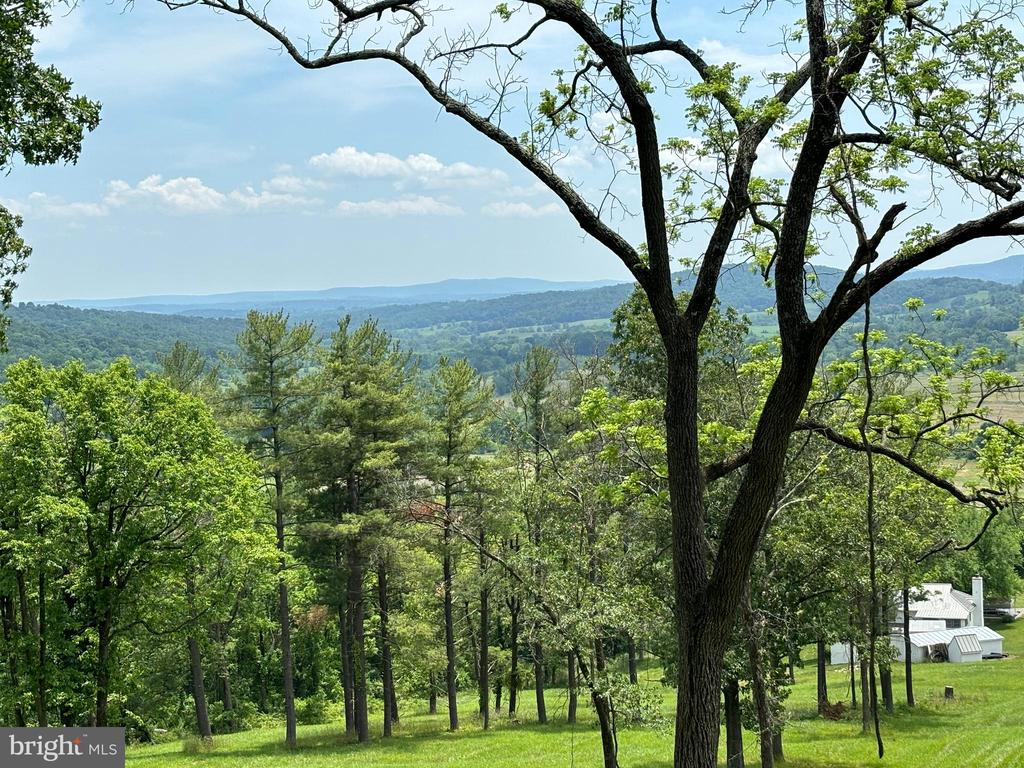 10436 JOHN S MOSBY HWY, PARIS, Virginia 20130, 3 Bedrooms Bedrooms, ,2 BathroomsBathrooms,Residential,10436 JOHN S MOSBY HWY,VAFQ2022300 MLS # VAFQ2022300 10436 JOHN S MOSBY HWY, PARIS, Virginia 20130, 3 Bedrooms Bedrooms, ,2 BathroomsBathrooms,Residential,10436 JOHN S MOSBY HWY,VAFQ2022300 MLS # VAFQ2022300