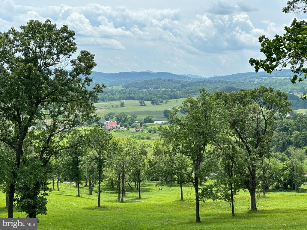 10436 JOHN S MOSBY HWY, PARIS, Virginia 20130, 3 Bedrooms Bedrooms, ,2 BathroomsBathrooms,Residential,10436 JOHN S MOSBY HWY,VAFQ2022300 MLS # VAFQ2022300 10436 JOHN S MOSBY HWY, PARIS, Virginia 20130, 3 Bedrooms Bedrooms, ,2 BathroomsBathrooms,Residential,10436 JOHN S MOSBY HWY,VAFQ2022300 MLS # VAFQ2022300
