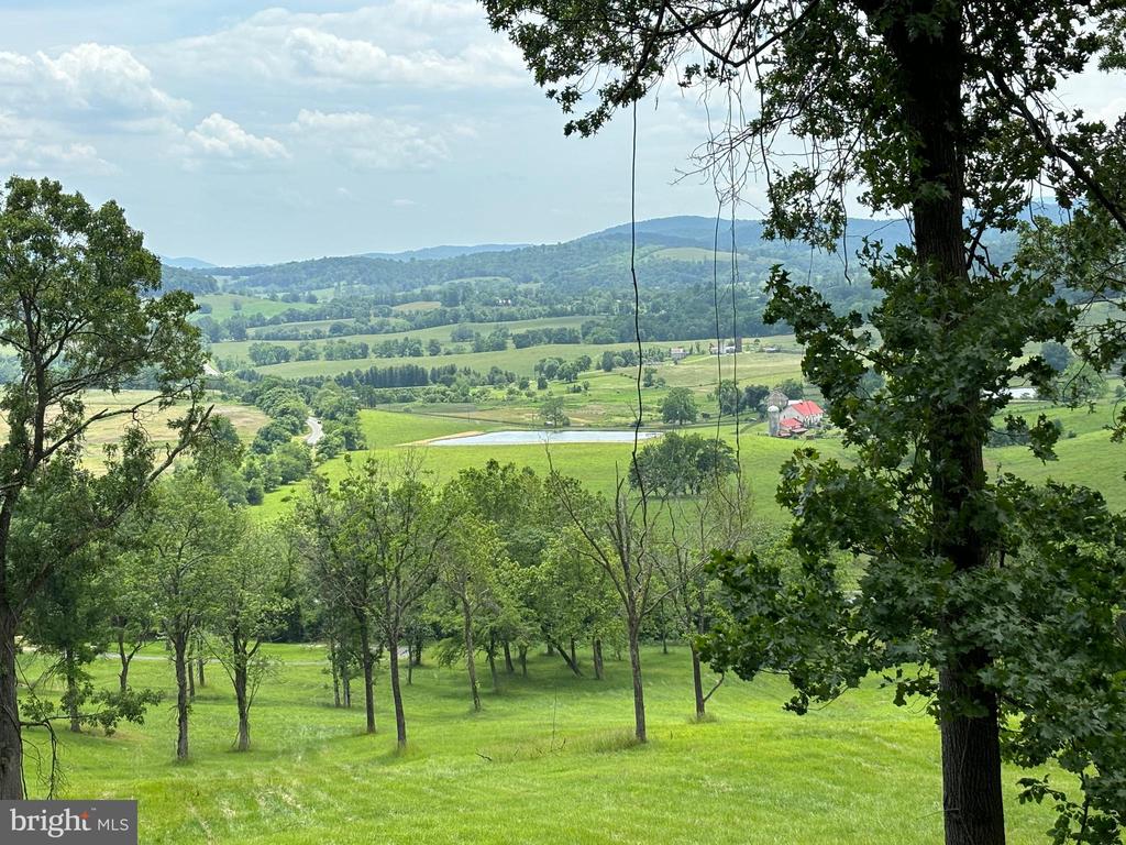 10436 JOHN S MOSBY HWY, PARIS, Virginia 20130, 3 Bedrooms Bedrooms, ,2 BathroomsBathrooms,Residential,10436 JOHN S MOSBY HWY,VAFQ2022300 MLS # VAFQ2022300 10436 JOHN S MOSBY HWY, PARIS, Virginia 20130, 3 Bedrooms Bedrooms, ,2 BathroomsBathrooms,Residential,10436 JOHN S MOSBY HWY,VAFQ2022300 MLS # VAFQ2022300