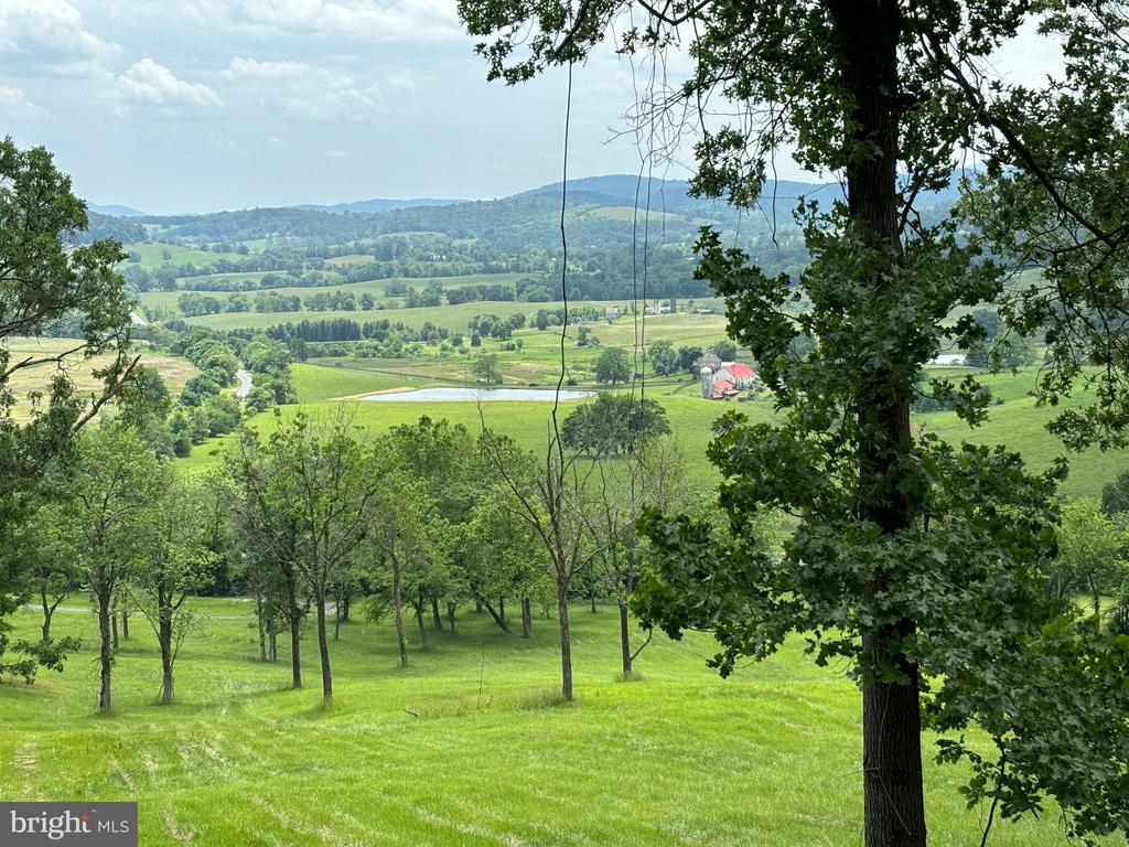 10436 JOHN S MOSBY HWY, PARIS, Virginia 20130, 3 Bedrooms Bedrooms, ,2 BathroomsBathrooms,Residential,10436 JOHN S MOSBY HWY,VAFQ2022300 MLS # VAFQ2022300 10436 JOHN S MOSBY HWY, PARIS, Virginia 20130, 3 Bedrooms Bedrooms, ,2 BathroomsBathrooms,Residential,10436 JOHN S MOSBY HWY,VAFQ2022300 MLS # VAFQ2022300