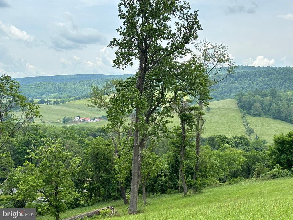 10436 JOHN S MOSBY HWY, PARIS, Virginia 20130, 3 Bedrooms Bedrooms, ,2 BathroomsBathrooms,Residential,10436 JOHN S MOSBY HWY,VAFQ2022300 MLS # VAFQ2022300 10436 JOHN S MOSBY HWY, PARIS, Virginia 20130, 3 Bedrooms Bedrooms, ,2 BathroomsBathrooms,Residential,10436 JOHN S MOSBY HWY,VAFQ2022300 MLS # VAFQ2022300