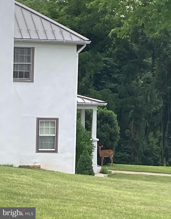10436 JOHN S MOSBY HWY, PARIS, Virginia 20130, 3 Bedrooms Bedrooms, ,2 BathroomsBathrooms,Residential,10436 JOHN S MOSBY HWY,VAFQ2022300 MLS # VAFQ2022300 10436 JOHN S MOSBY HWY, PARIS, Virginia 20130, 3 Bedrooms Bedrooms, ,2 BathroomsBathrooms,Residential,10436 JOHN S MOSBY HWY,VAFQ2022300 MLS # VAFQ2022300