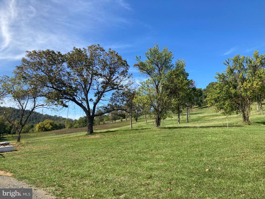 10436 JOHN S MOSBY HWY, PARIS, Virginia 20130, 3 Bedrooms Bedrooms, ,2 BathroomsBathrooms,Residential,10436 JOHN S MOSBY HWY,VAFQ2022300 MLS # VAFQ2022300 10436 JOHN S MOSBY HWY, PARIS, Virginia 20130, 3 Bedrooms Bedrooms, ,2 BathroomsBathrooms,Residential,10436 JOHN S MOSBY HWY,VAFQ2022300 MLS # VAFQ2022300