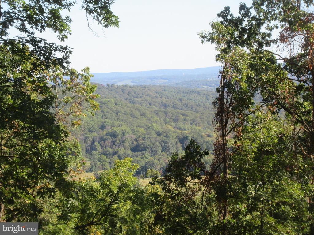 10436 JOHN S MOSBY HWY, PARIS, Virginia 20130, 3 Bedrooms Bedrooms, ,2 BathroomsBathrooms,Residential,10436 JOHN S MOSBY HWY,VAFQ2022300 MLS # VAFQ2022300 10436 JOHN S MOSBY HWY, PARIS, Virginia 20130, 3 Bedrooms Bedrooms, ,2 BathroomsBathrooms,Residential,10436 JOHN S MOSBY HWY,VAFQ2022300 MLS # VAFQ2022300