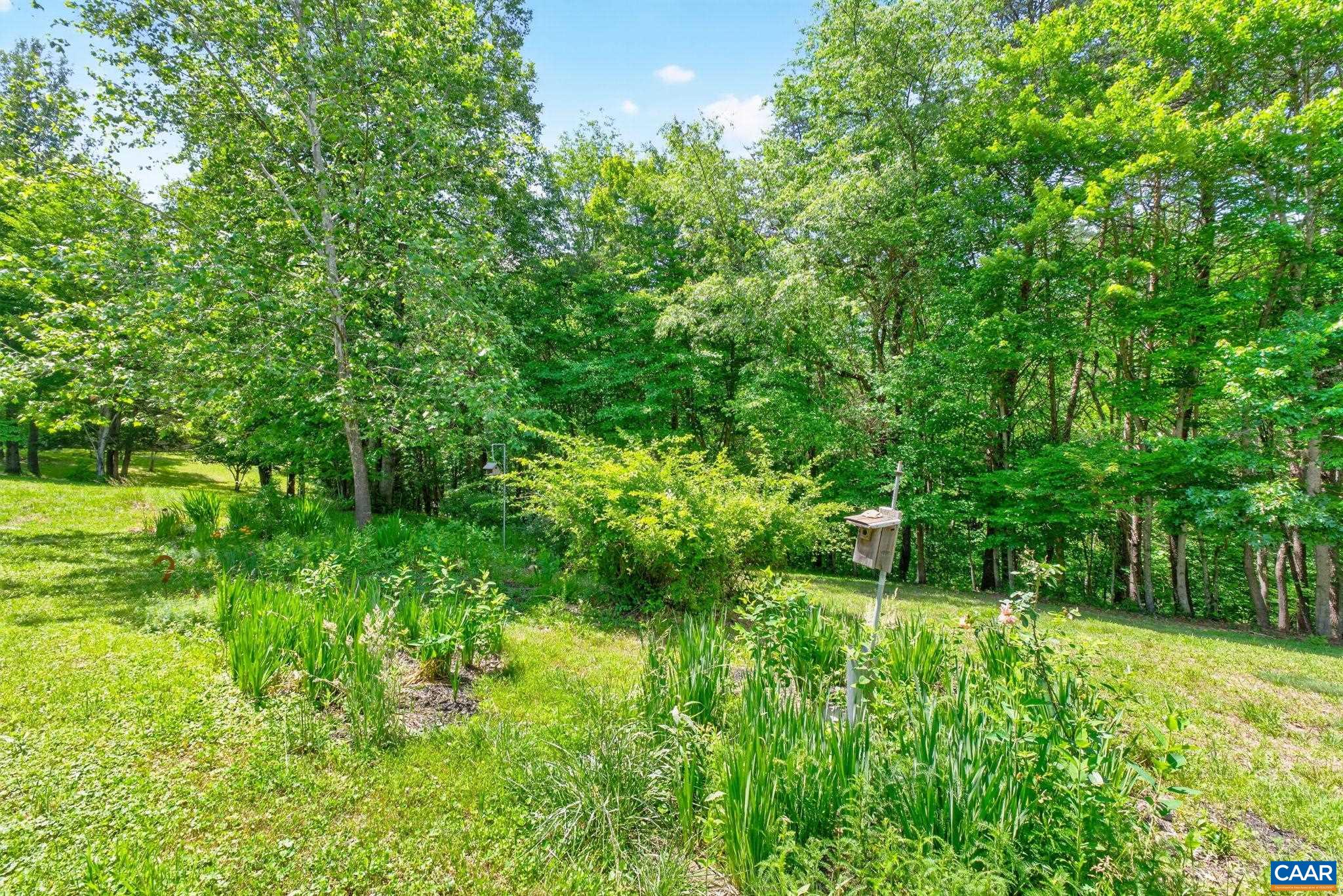 3403 MEADOW WOOD LN, CROZET, Virginia 22932, 3 Bedrooms Bedrooms, ,2 BathroomsBathrooms,Residential,3403 MEADOW WOOD LN,677886 MLS # 677886 3403 MEADOW WOOD LN, CROZET, Virginia 22932, 3 Bedrooms Bedrooms, ,2 BathroomsBathrooms,Residential,3403 MEADOW WOOD LN,677886 MLS # 677886