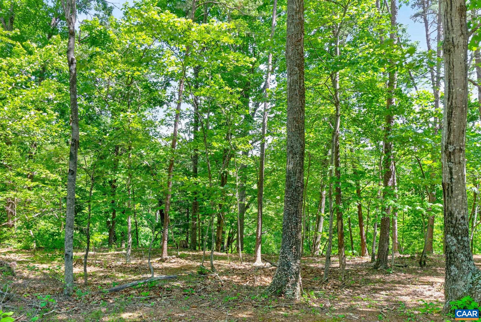 3403 MEADOW WOOD LN, CROZET, Virginia 22932, 3 Bedrooms Bedrooms, ,2 BathroomsBathrooms,Residential,3403 MEADOW WOOD LN,677886 MLS # 677886 3403 MEADOW WOOD LN, CROZET, Virginia 22932, 3 Bedrooms Bedrooms, ,2 BathroomsBathrooms,Residential,3403 MEADOW WOOD LN,677886 MLS # 677886