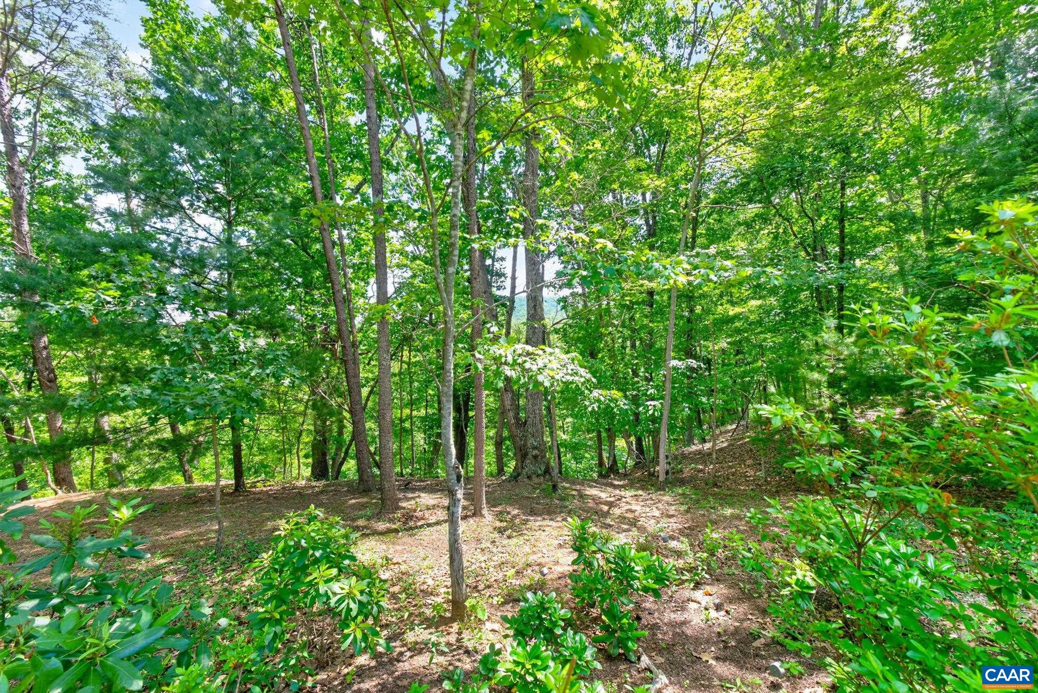 3403 MEADOW WOOD LN, CROZET, Virginia 22932, 3 Bedrooms Bedrooms, ,2 BathroomsBathrooms,Residential,3403 MEADOW WOOD LN,677886 MLS # 677886 3403 MEADOW WOOD LN, CROZET, Virginia 22932, 3 Bedrooms Bedrooms, ,2 BathroomsBathrooms,Residential,3403 MEADOW WOOD LN,677886 MLS # 677886