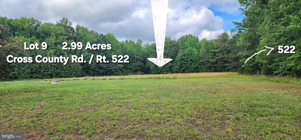 0 CROSS COUNTY RD, MINERAL, Virginia 23117, ,Land,0 CROSS COUNTY RD,VALA2009972 MLS # VALA2009972