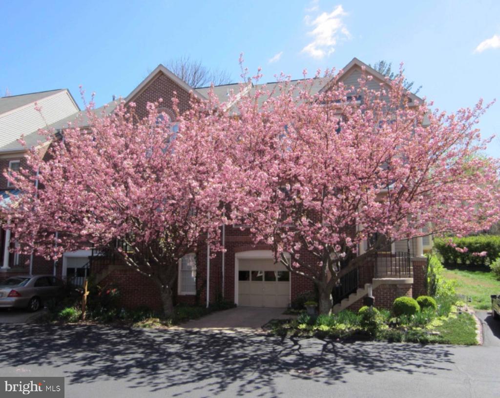 146 MOSBY CIR, WARRENTON, Virginia 20186, 3 Bedrooms Bedrooms, ,2 BathroomsBathrooms,Residential,146 MOSBY CIR,VAFQ2021872 MLS # VAFQ2021872 146 MOSBY CIR, WARRENTON, Virginia 20186, 3 Bedrooms Bedrooms, ,2 BathroomsBathrooms,Residential,146 MOSBY CIR,VAFQ2021872 MLS # VAFQ2021872